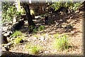 P6181445.JPG