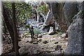 P6181452.JPG