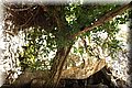 P6181460.JPG