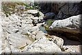 P6181467.JPG