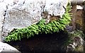 P6181470.JPG