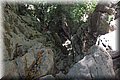 P6181515.JPG