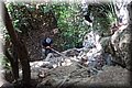 P6181520.JPG