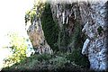 P6181530.JPG