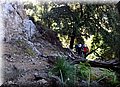 P6181531.JPG