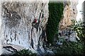 P6181535.JPG