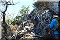 P6181541.JPG