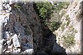 P6221555.JPG