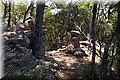 P6221575.JPG