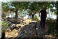 P6221576.JPG