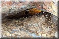 P6221583.JPG