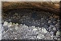 P6221589.JPG
