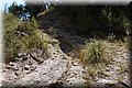 P6221598.JPG