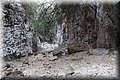 P6251606.JPG