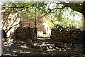 P6291634.JPG