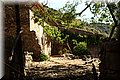 P6291636.JPG