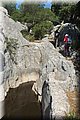 P6291643.JPG