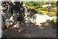 P6291647.JPG