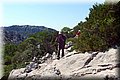 P6291658.JPG