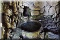 P6291660.JPG