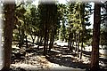 P6291670.JPG