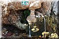 P7161682.JPG