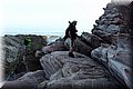 P7161735.JPG
