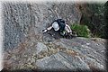 P7161759.JPG