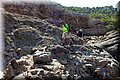 P7161769.JPG
