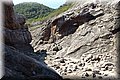 P7161772.JPG