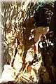 P7201804.JPG
