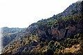 P7201851.JPG