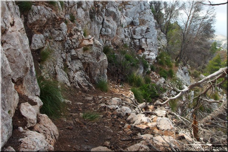 P7271934.JPG