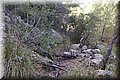 P7301959.JPG
