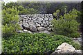 P7302050.JPG