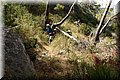 P7302052.JPG