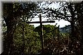 P8062058.JPG