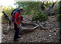 P8062067.JPG