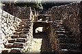 P8062111.JPG