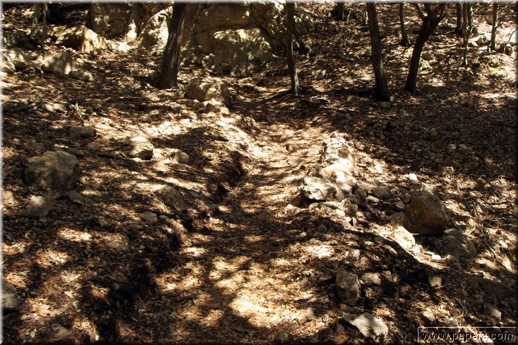 P8102166.JPG