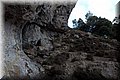 P8102141.JPG
