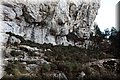 P8102143.JPG