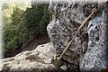 P8102149.JPG