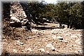 P8102169.JPG