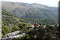 P8132187.JPG