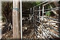 P8132200.JPG