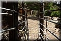 P8132203.JPG