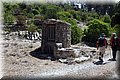 P8132209.JPG