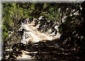 P8132211.JPG