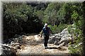 P8132213.JPG